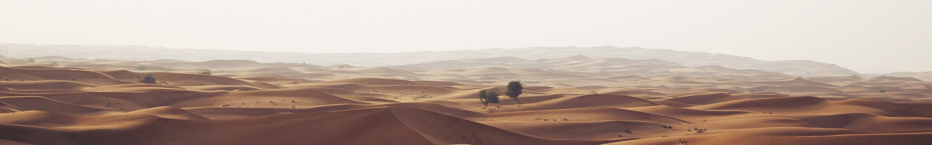 ϺؿƼ޹˾